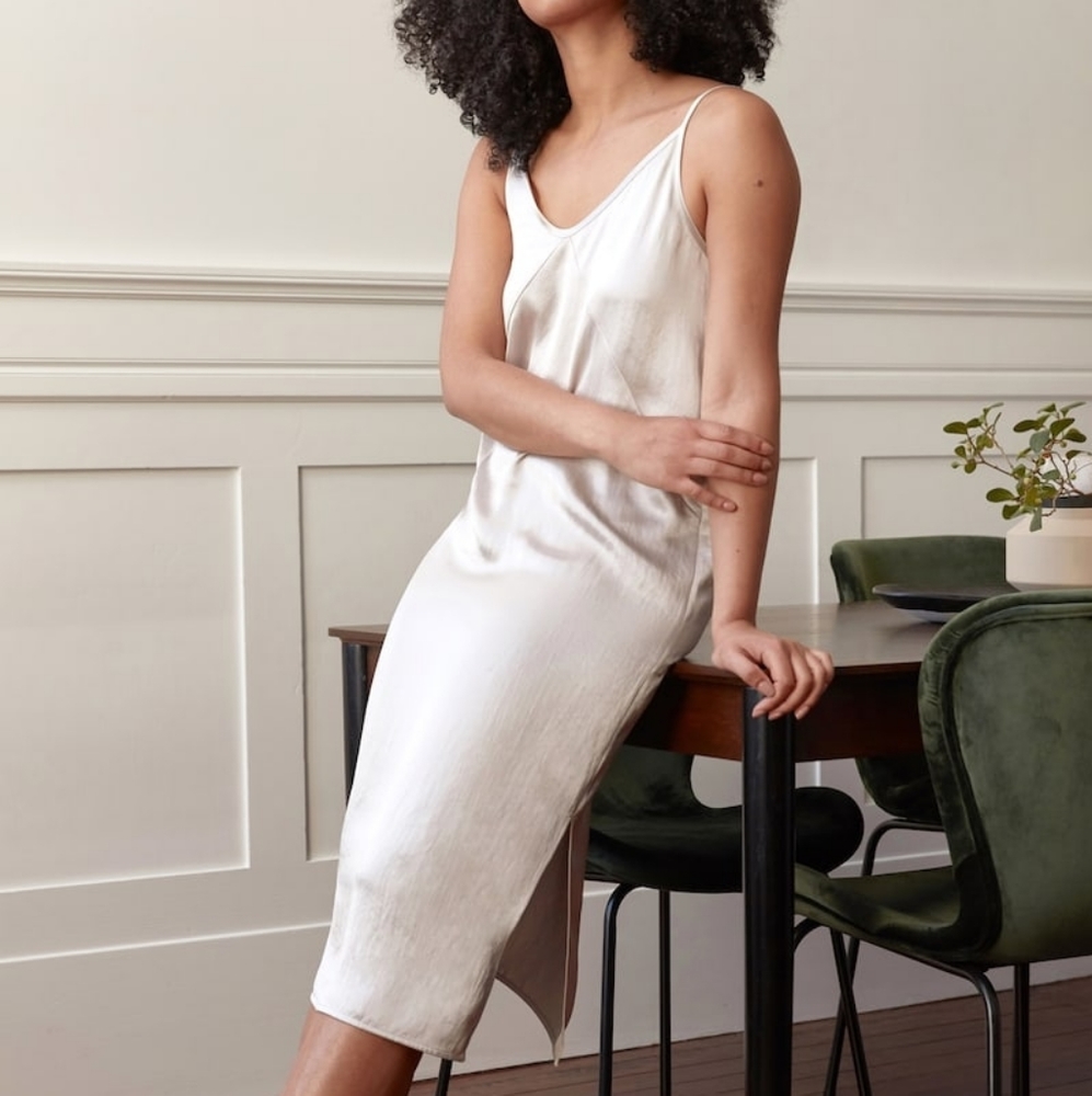Everlane The Party Slip Dress Stone